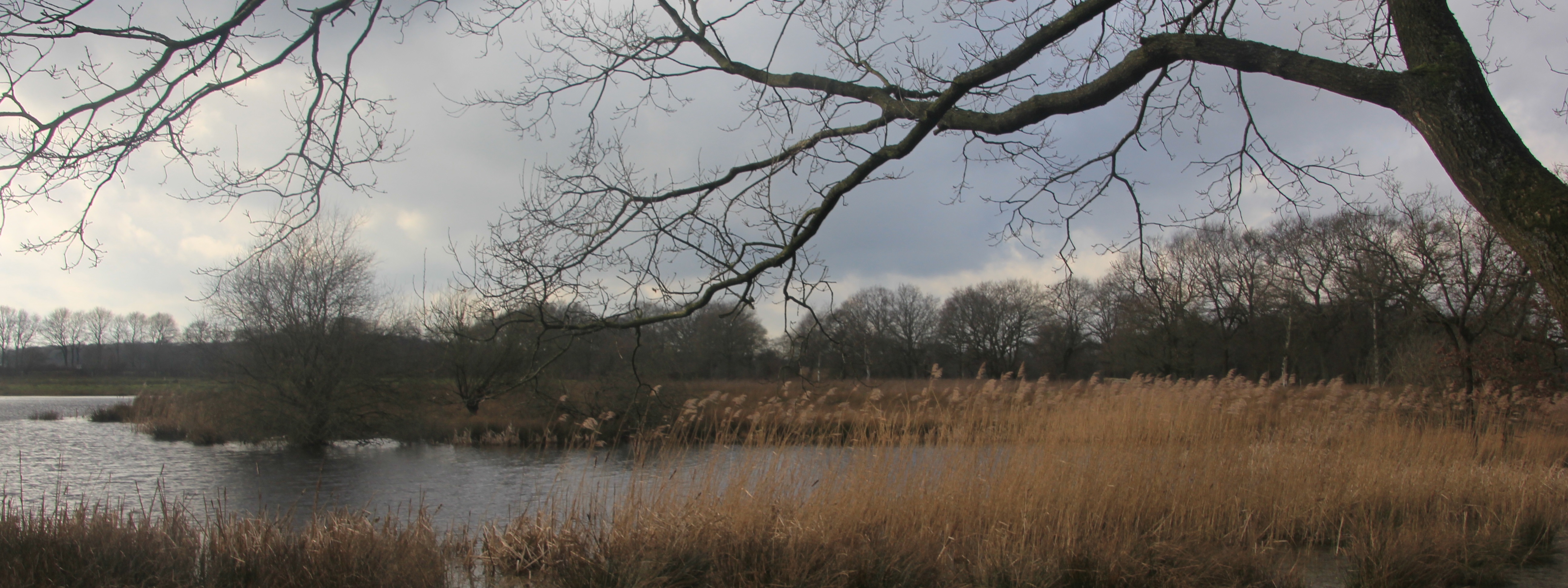 Haverkampsveen 2 panorama